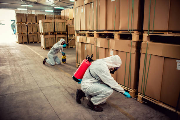 Best Wildlife Control Services  in Fairview, NC