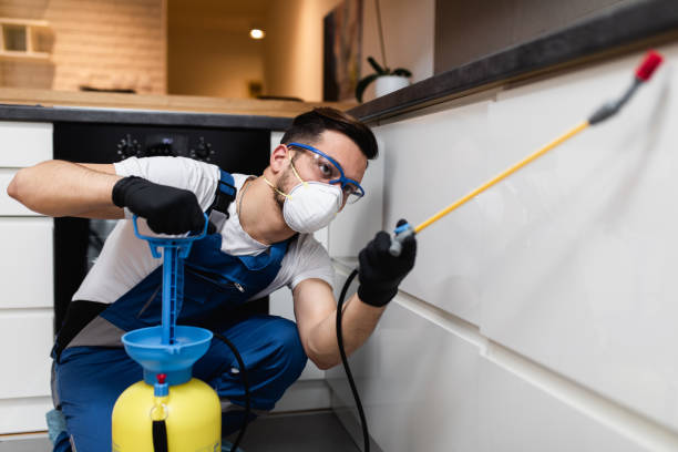 Best Flea Control Services  in Fairview, NC