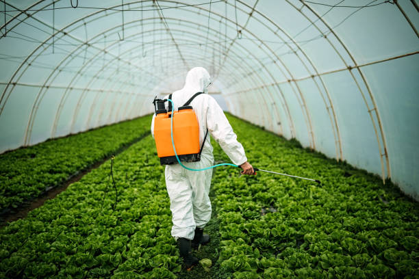 Best Best Pest Control Companies  in Fairview, NC