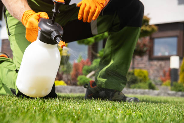Fairview, NC Pest Control Company
