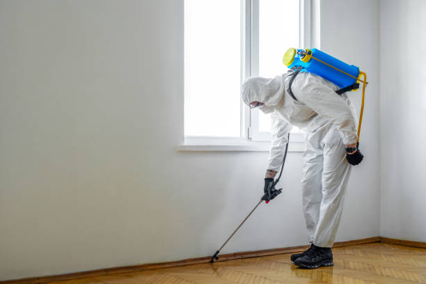 Best Bed Bug Extermination  in Fairview, NC