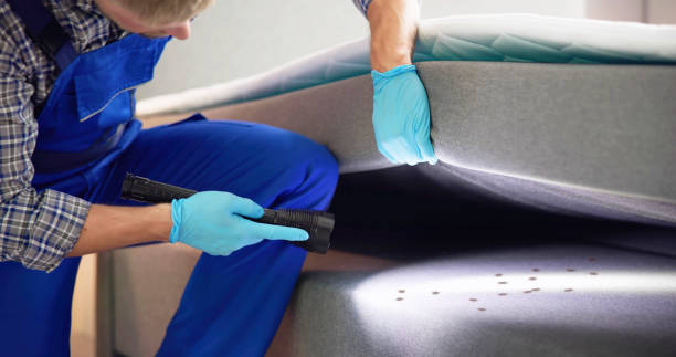 Best Local Pest Control Services  in Fairview, NC