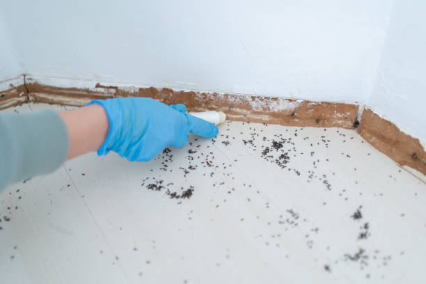 Pest Control Cost in Fairview, NC